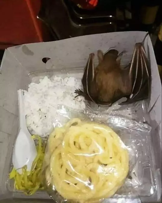 isi nasi kotak kocak © 2021 berbagai sumber