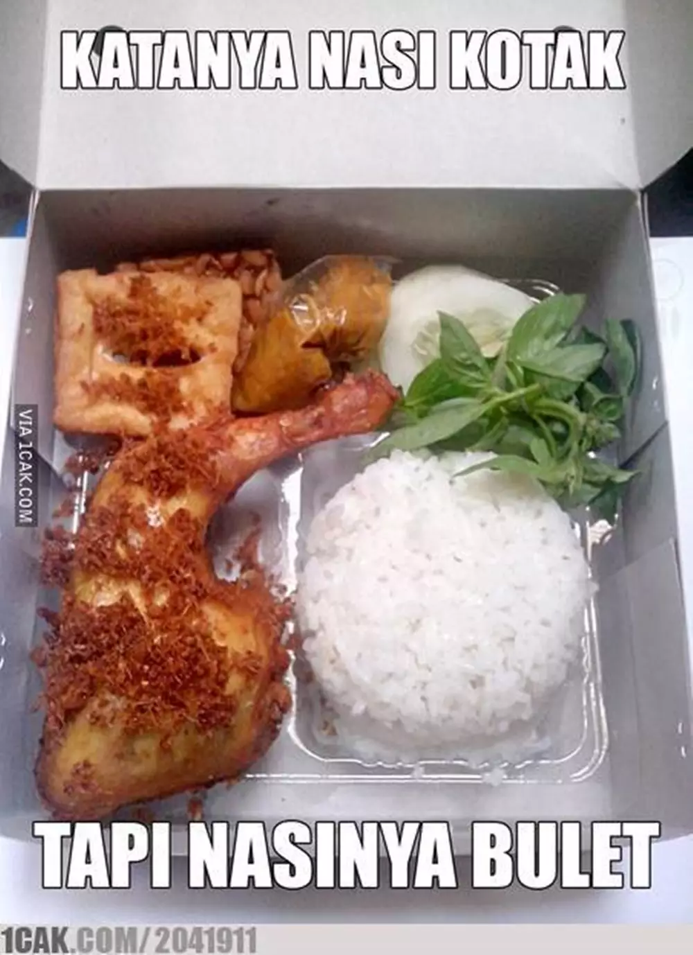 isi nasi kotak kocak © 2021 berbagai sumber