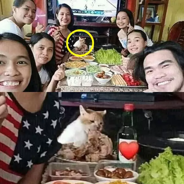 momen lucu lagi makan bareng © 2021 1cak.com momen lucu lagi makan bareng © 2021 1cak.com