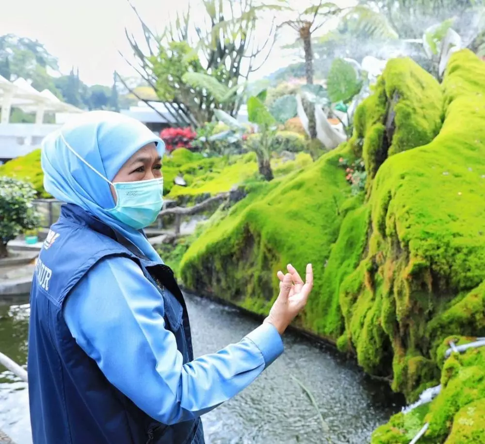 khofifah umumkan positif covid-19 © Berbagai Sumber  khofifah umumkan positif covid-19 © Berbagai Sumber