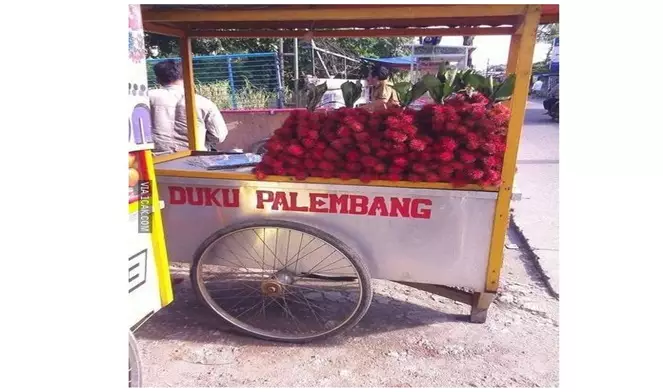 Potret lucu barang di gerobak © berbagai sumber