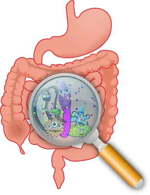 Manfaat jambu biji untuk kesehatan © 2021 brilio.net