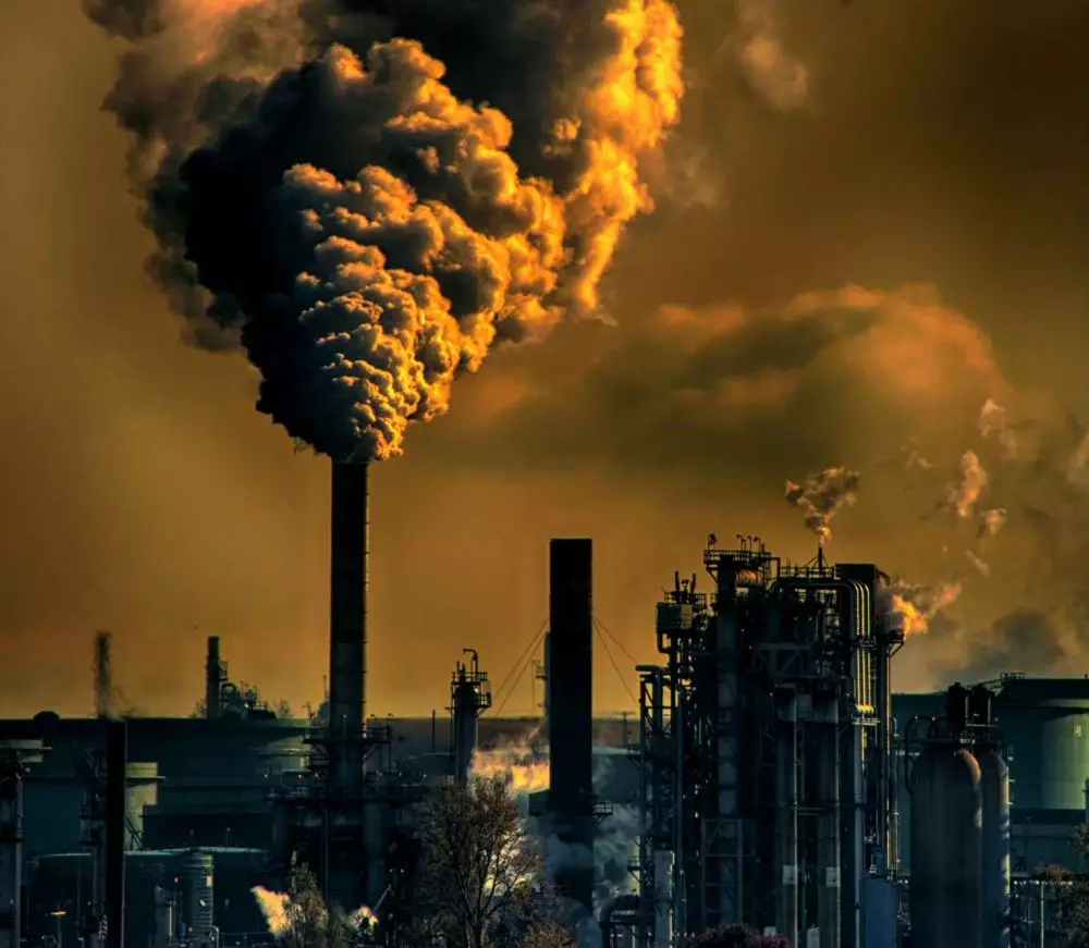 Manfaat jambu biji untuk kesehatan © 2021 brilio.net