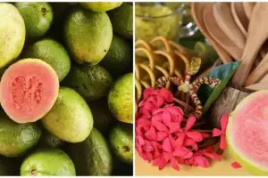 11 Manfaat jambu biji untuk kesehatan, ampuh turunkan berat badan