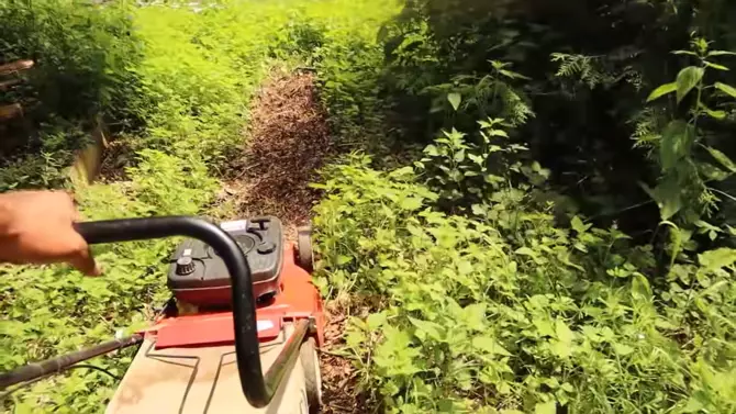 Pria Sunda menikahi bule Jerman ini pilih tinggal di tengah hutan © YouTube/Kesa Lisa