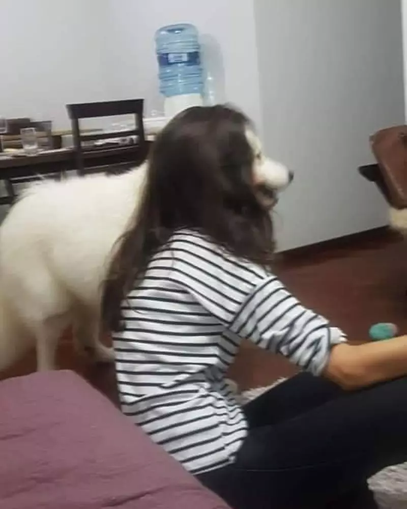 tak sengaja terekam kamera © 2021 berbagai sumber