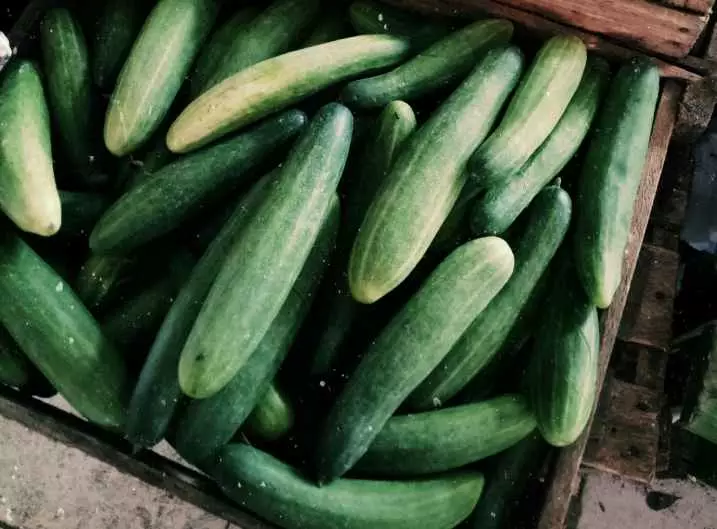 mentimun untuk kesehatan © 2021 brilio.net mentimun untuk kesehatan © 2021 brilio.net