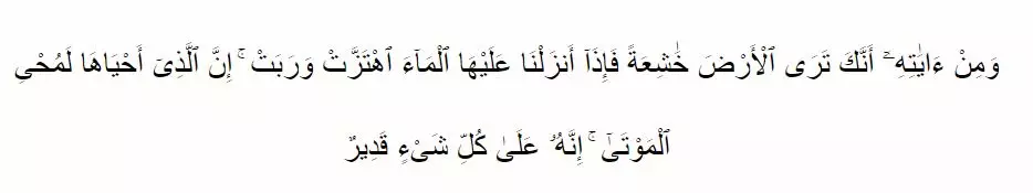 Amalan saat turun hujan © 2021 brilio.net