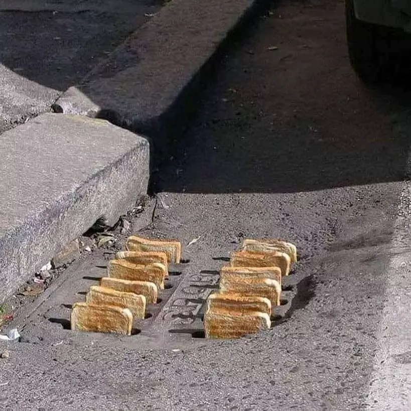 potret lucu asal taruh makanan © 2021 instagram.com