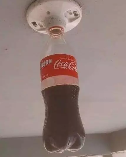 potret lucu asal taruh makanan © 2021 instagram.com