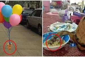 10 Potret lucu asal taruh makanan ini endingnya bikin tepuk jidat