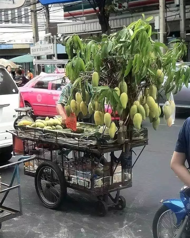 totalitas pedagang keliling © 2021 1cak.com