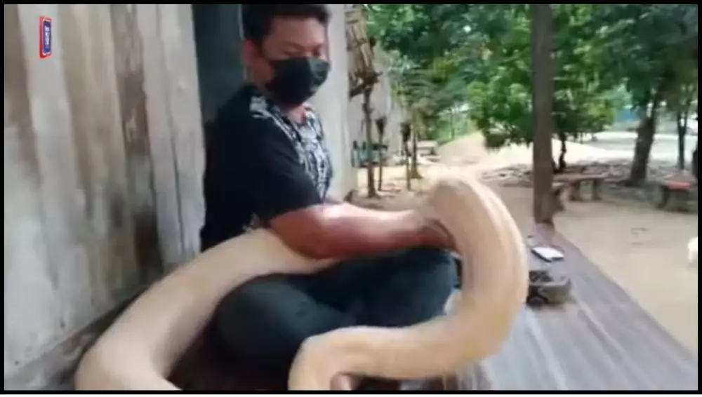 Kisah pria tolak cinta 5 wanita demi ular peliharaan YouTube/Harian Metro