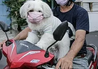 hewan bisa diajak kerja sama © 2021 instagram.com