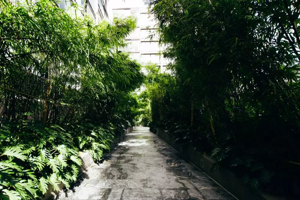 3 Konsep apartemen biofilik © 2021 brilio.net