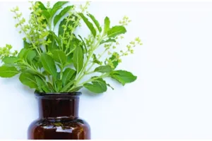 Akarnya jangan dibuang, 11 sayuran ini bisa ditanam lagi di air