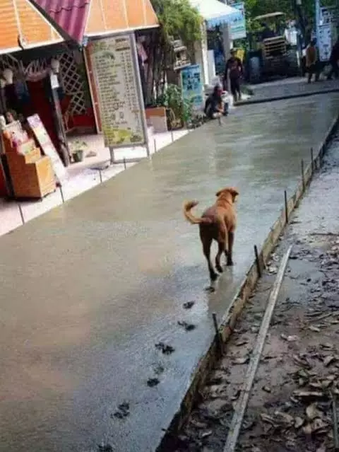 momen apes kuli bangunan © 2021 instagram.com