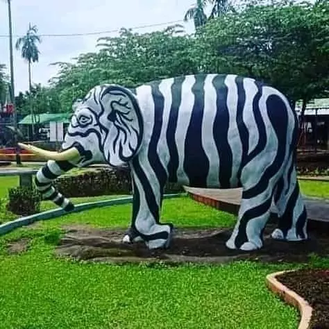 momen lucu benda tertukar © 2021 instagram.com