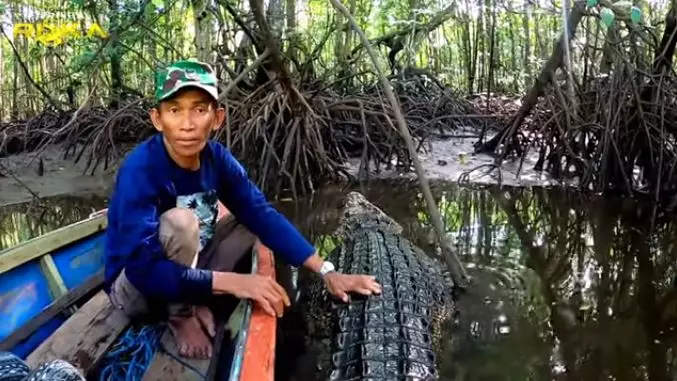 penampakan buaya riska © 2021 youtube.com penampakan buaya riska © 2021 youtube.com