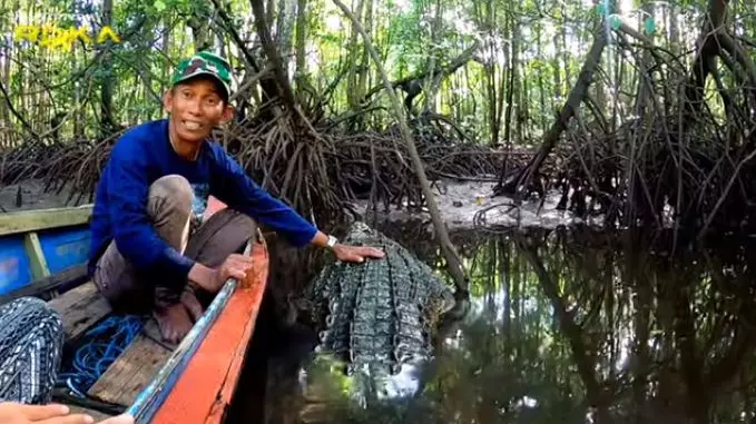 penampakan buaya riska © 2021 youtube.com penampakan buaya riska © 2021 youtube.com