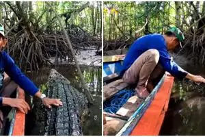 Penampakan buaya Riska usia 24 tahun yang dirawat Pak Ambo