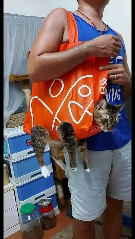 bapak bapak terlalu sayang hewan © 2021 berbagai sumber bapak bapak terlalu sayang hewan © 2021 berbagai sumber