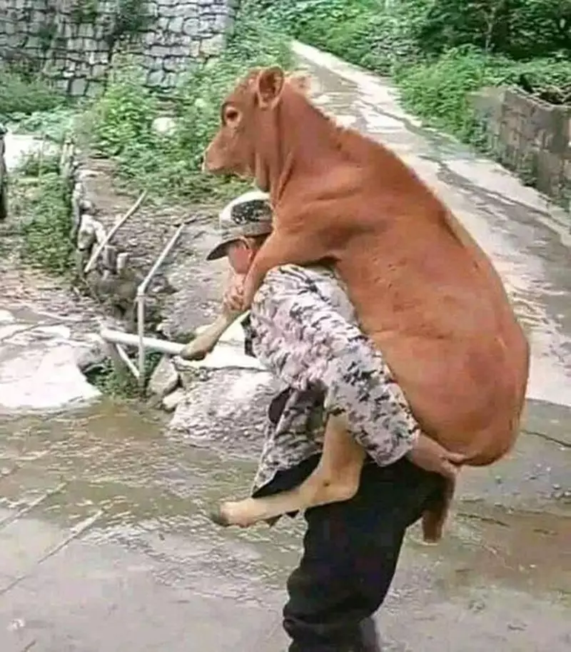 bapak bapak terlalu sayang hewan © 2021 berbagai sumber bapak bapak terlalu sayang hewan © 2021 berbagai sumber