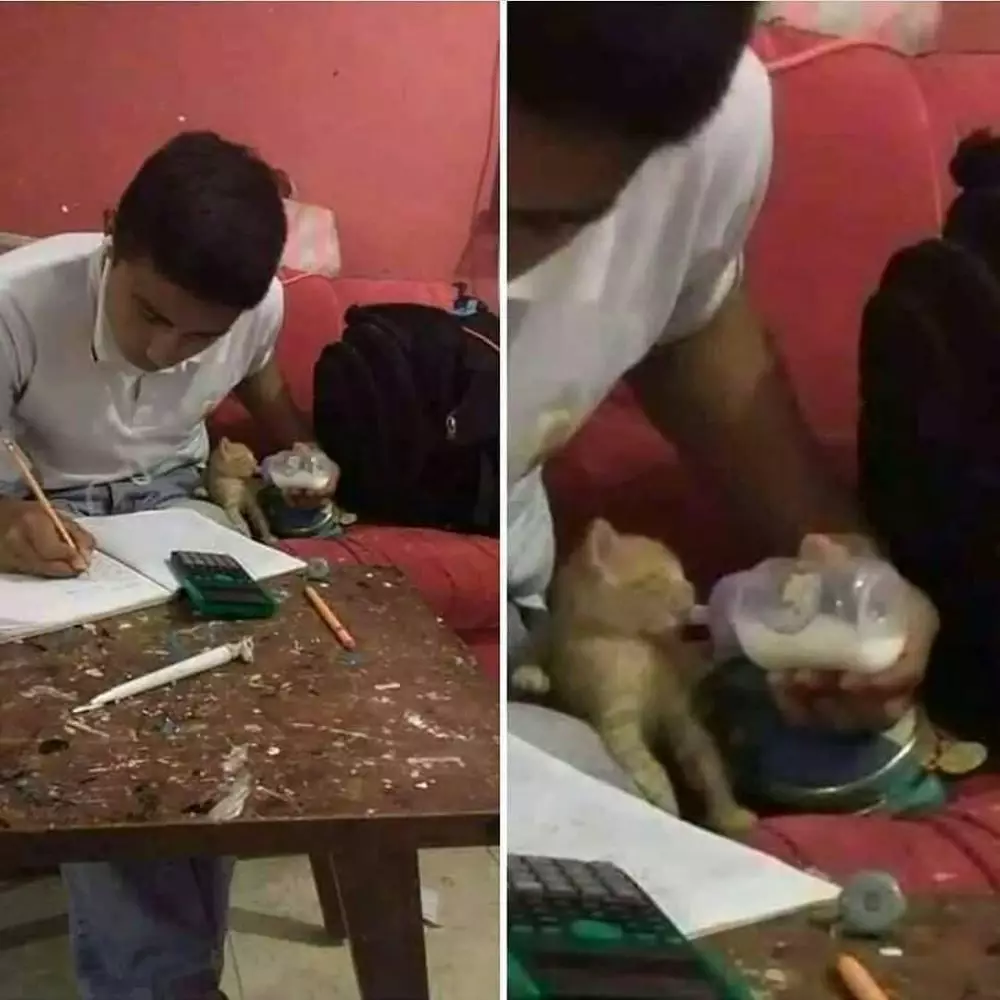 bapak bapak terlalu sayang hewan © 2021 berbagai sumber bapak bapak terlalu sayang hewan © 2021 berbagai sumber