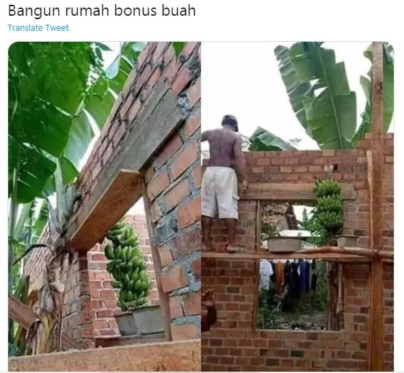 momen nggak disangka bikin rumah © 2021 twitter.com momen nggak disangka bikin rumah © 2021 twitter.com