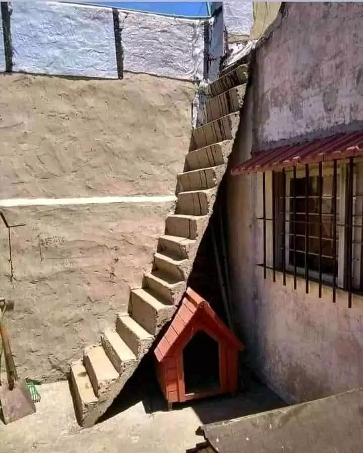 momen nggak disangka bikin rumah © 2021 twitter.com momen nggak disangka bikin rumah © 2021 twitter.com