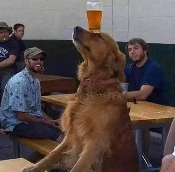 momen lucu orang di tempat makan © 2021 instagram.com