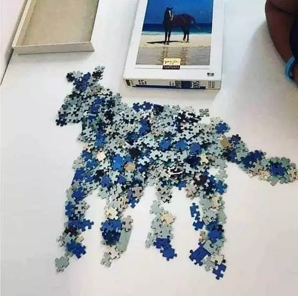 cara lucu selesaikan puzzle © 2021 1cak.com