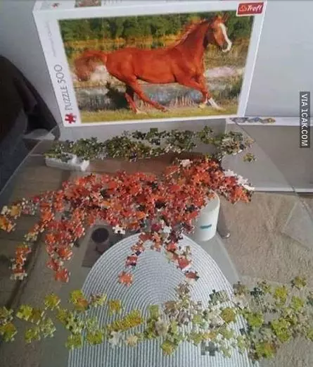 cara lucu selesaikan puzzle © 2021 1cak.com