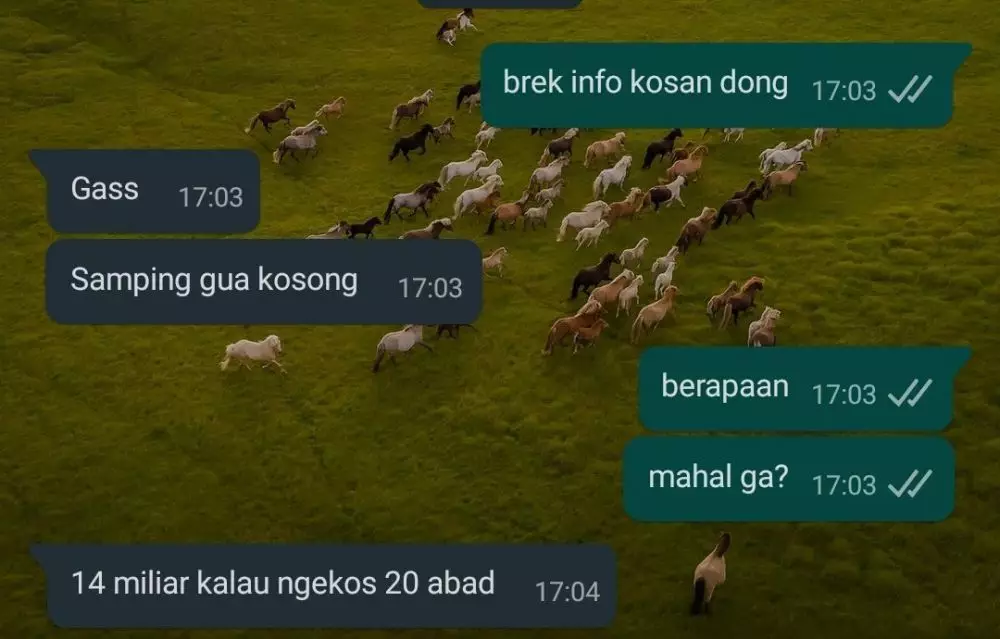 Chat lucu mencari kosan © berbagai sumber Chat lucu mencari kosan © berbagai sumber