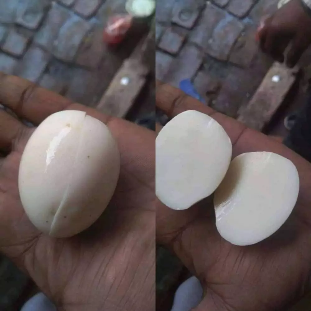 cara lucu bagi makanan ngeselin © 2021 instagram.com