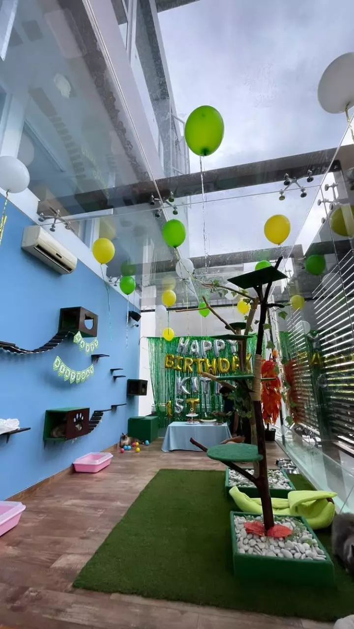 momen salmafina sunan rayakan ultah kucing © instagram