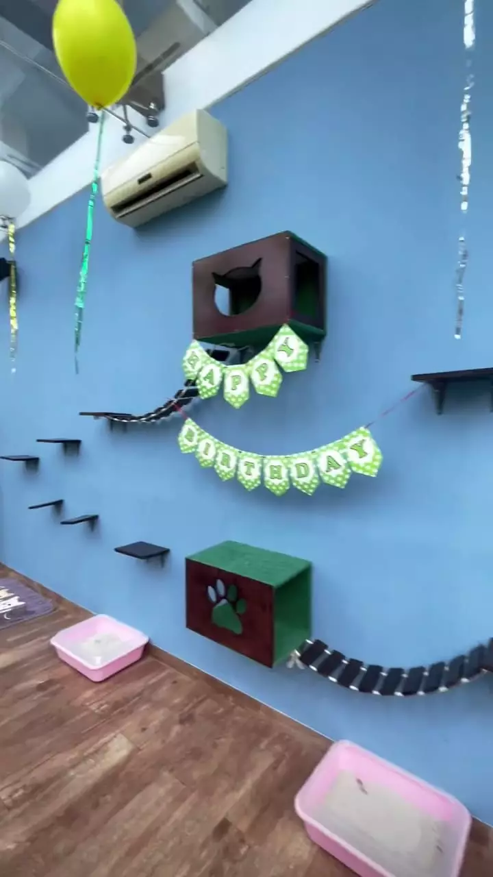 momen salmafina sunan rayakan ultah kucing © instagram