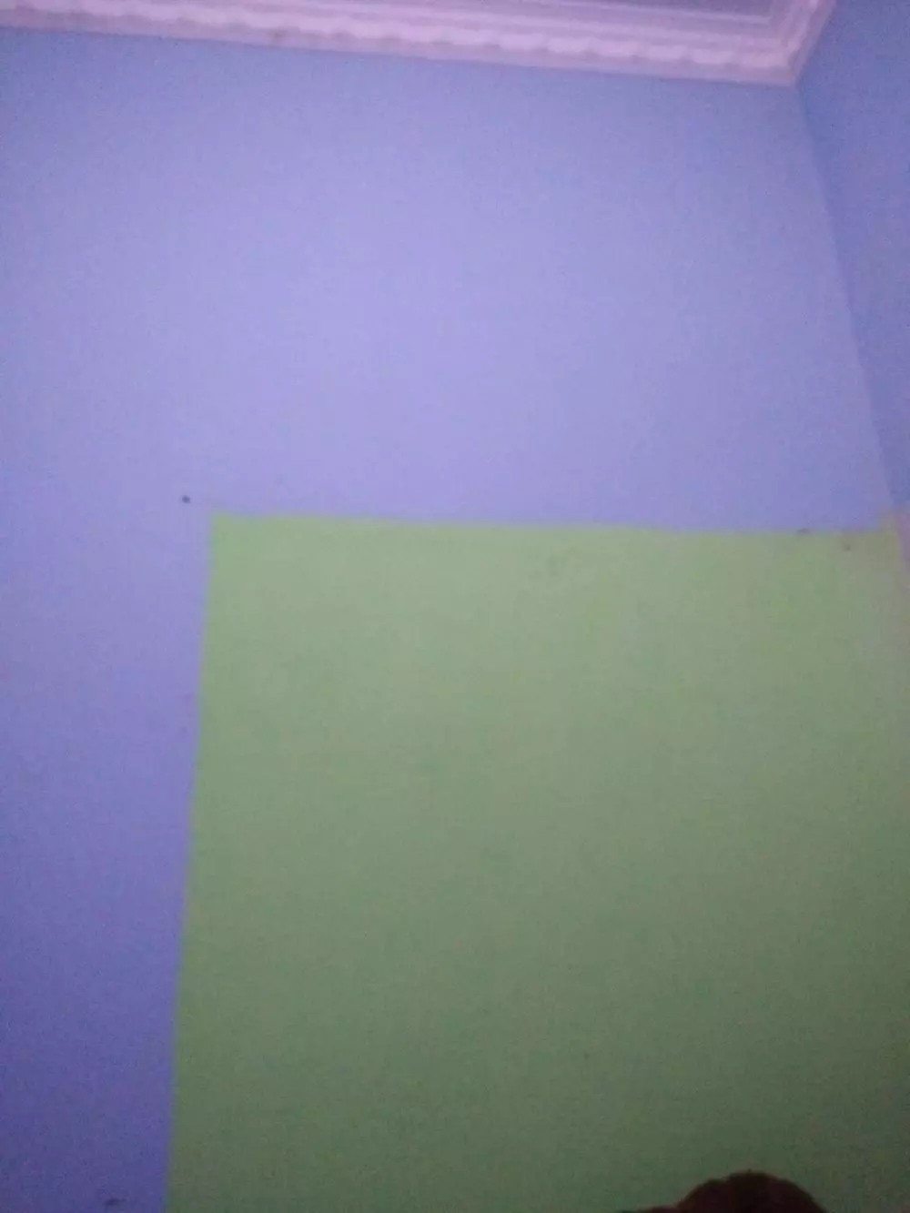 Potret lucu dinding rumah © berbagai sumber