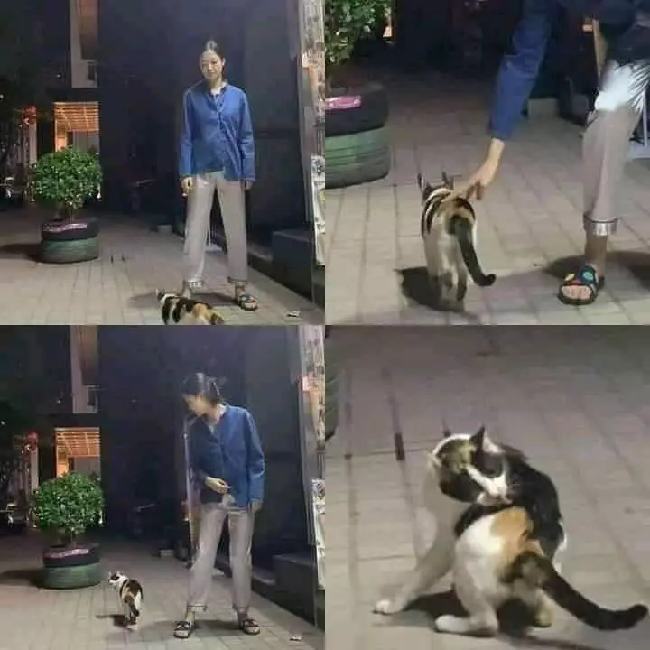 momen lucu ada yang salah © 2021 instagram.com