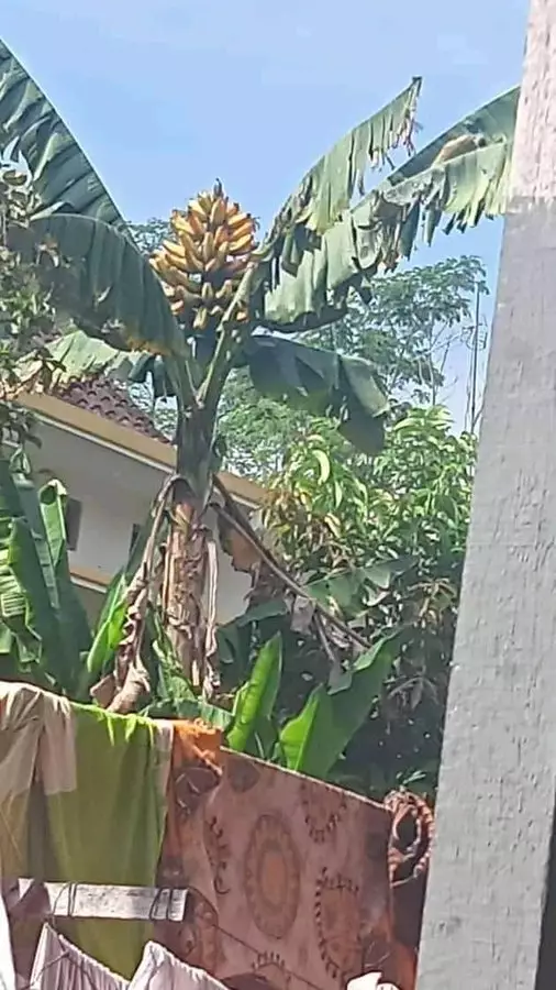 momen lucu ada yang salah © 2021 instagram.com