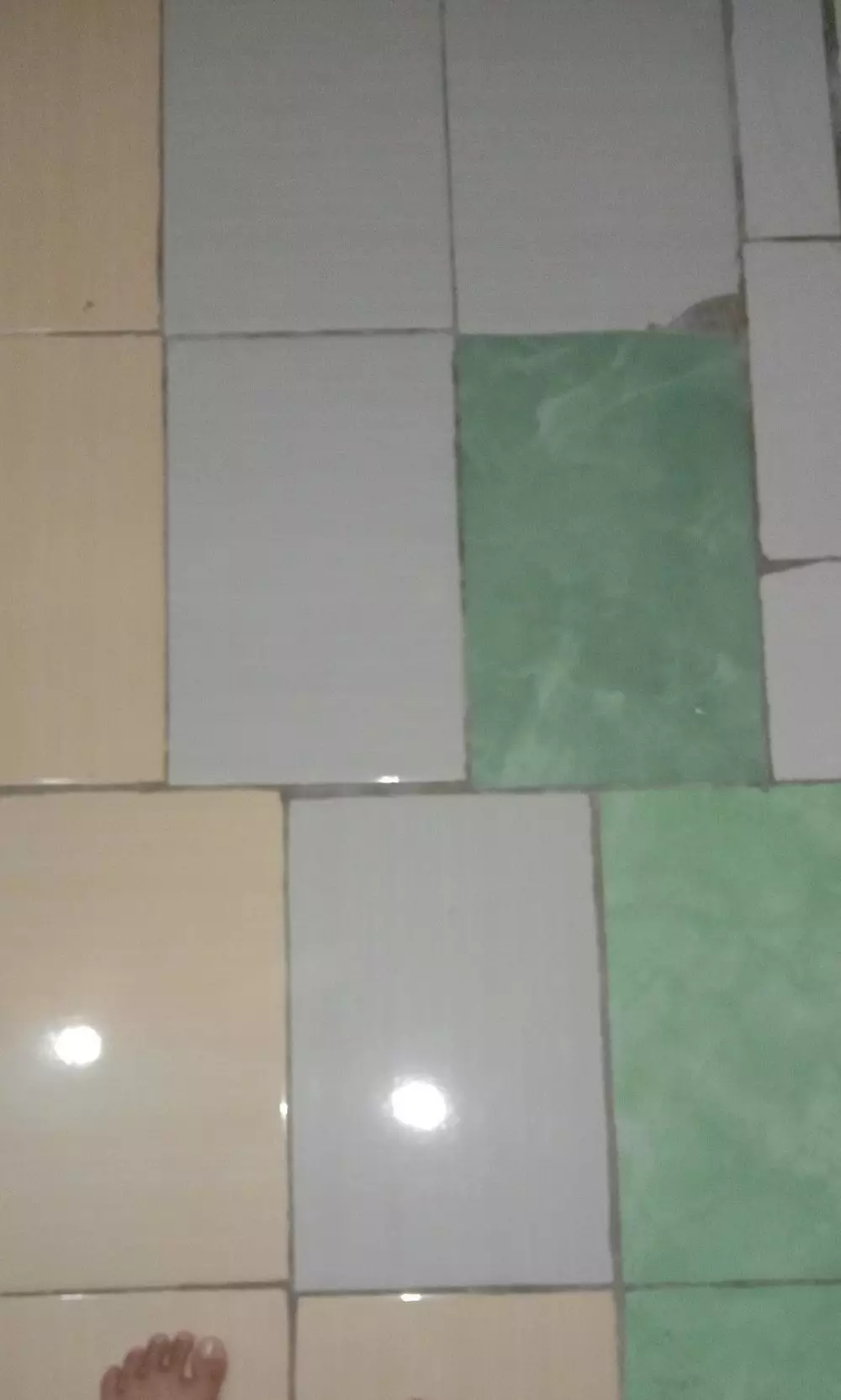 Potret lucu lantai keramik © berbagai sumber