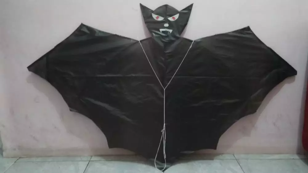 bentuk nyeleneh layang-layang © 2021 berbagai sumber