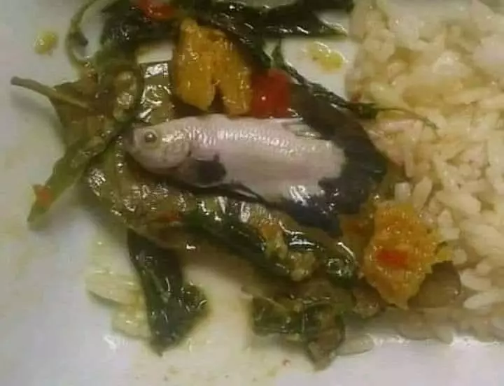 cara makan biar mewah © 2021 instagram.com cara makan biar mewah © 2021 instagram.com