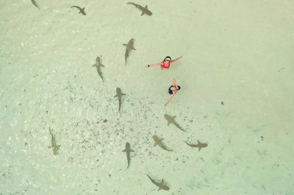 foto: Instagram/@vannya.istarinda © 2021 brilio.net