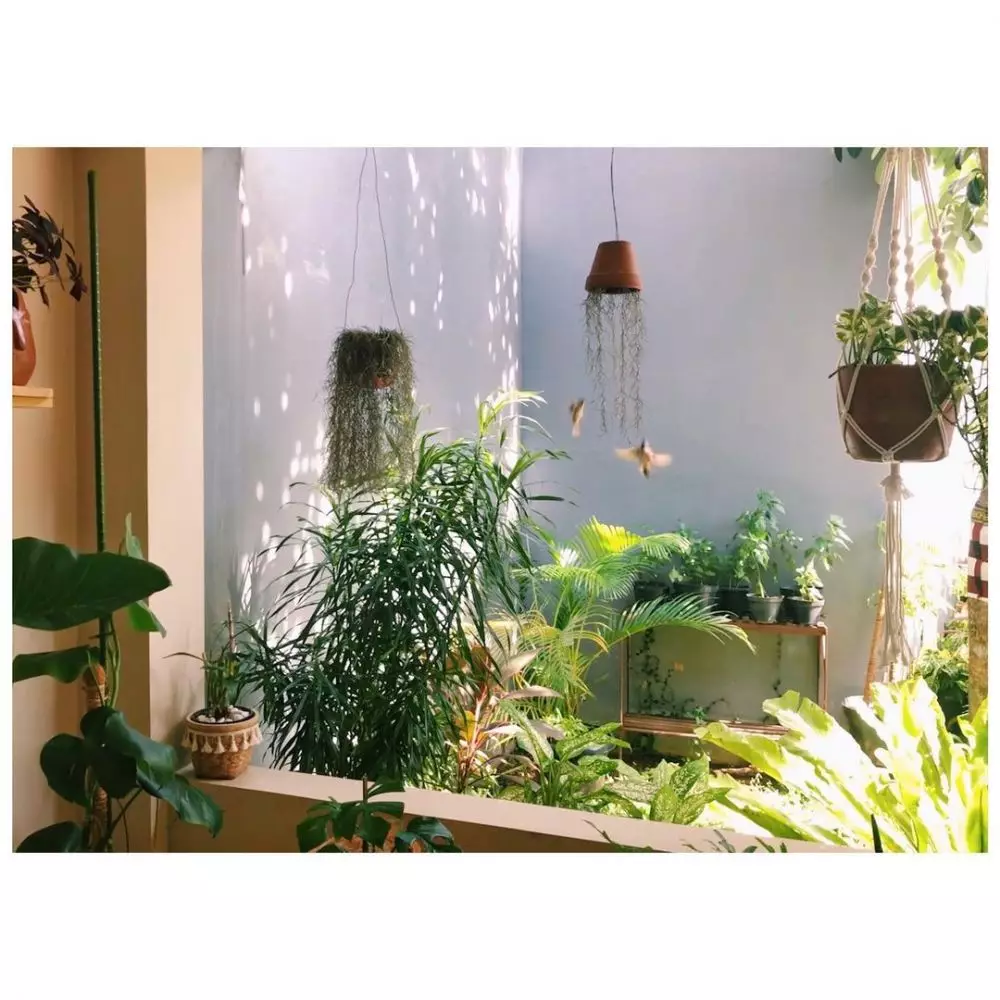 penampakan rumah mira lesmana © instagram penampakan rumah mira lesmana © instagram