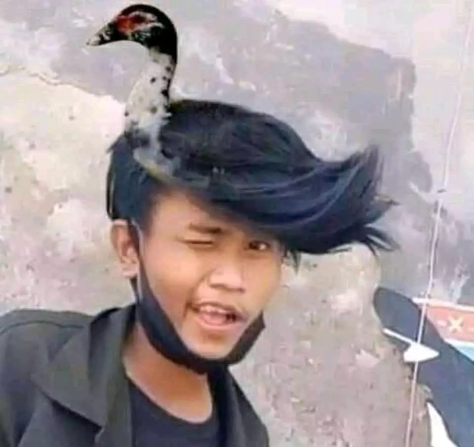 editan gaya rambut lucu © 2021 berbagai sumber