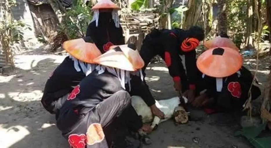 momen lucu waktu Idul Adha © 2021 1cak.com