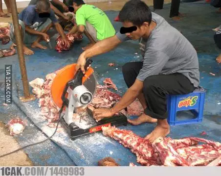 momen lucu waktu Idul Adha © 2021 1cak.com