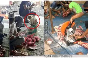 10 Momen nggak terduga waktu Idul Adha ini bikin senyum tipis