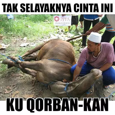 Meme lucu hewan kurban © 1cak.com Meme lucu hewan kurban © 1cak.com